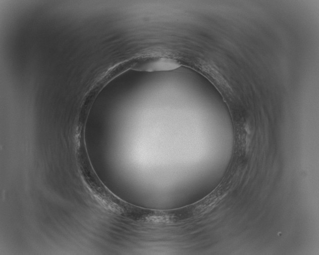 X0000076060160200610061545