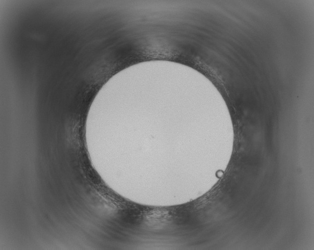 X0000076060162200610061545