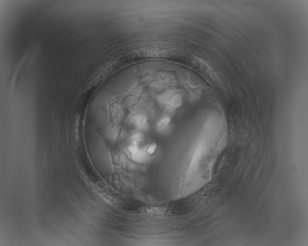 X0000076060163200610061545