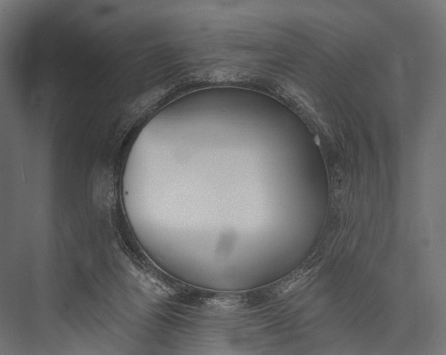 X0000076060164200610061545