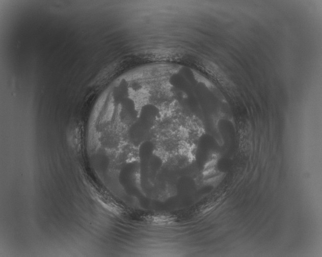 X0000076060165200610061545