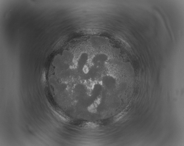 X0000076060166200610061545