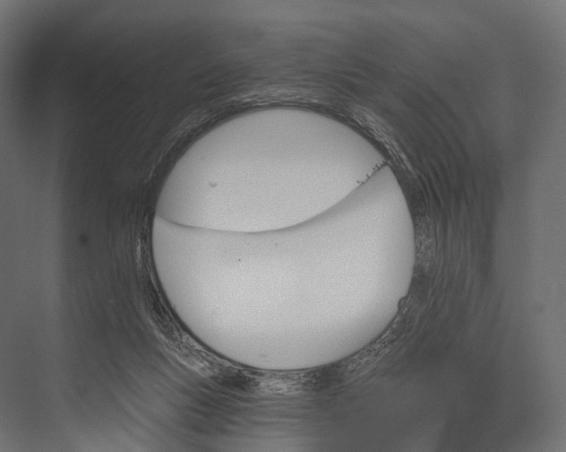 X0000076060167200610061545