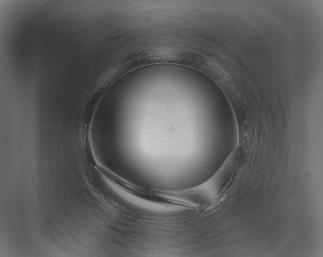 X0000076060168200610061545