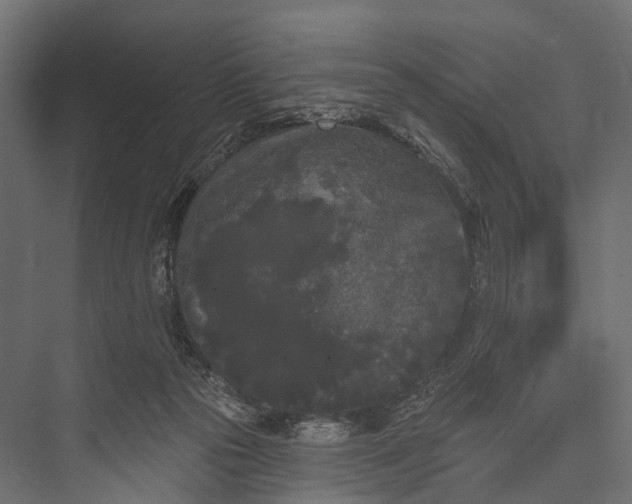 X0000076060169200610061545