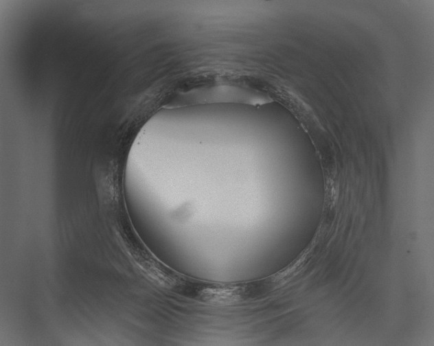 X0000076060170200610061545