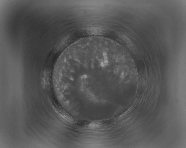 X0000076060171200610061545