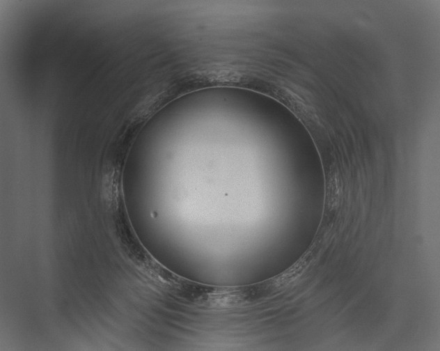 X0000076060172200610061545