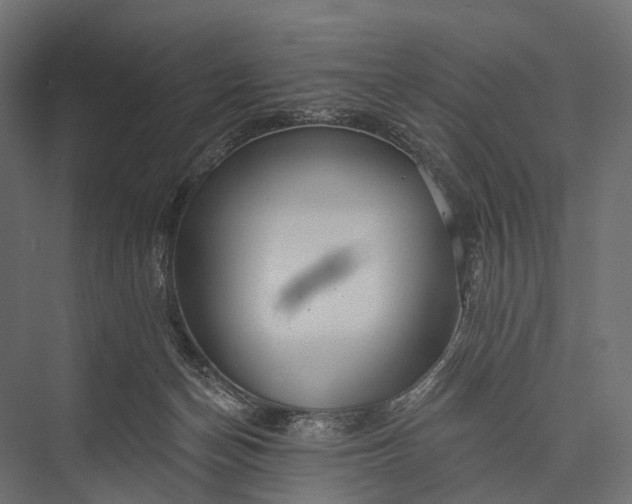 X0000076060174200610061545