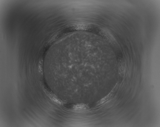 X0000076060175200610061545