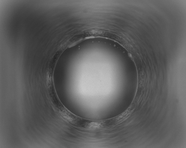 X0000076060176200610061545