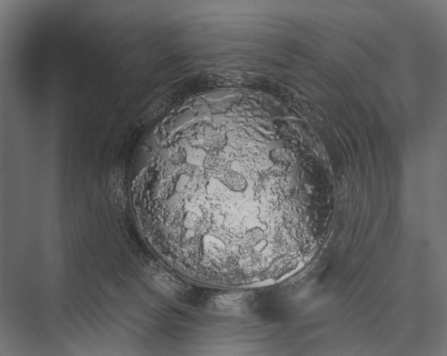 X0000076060178200610061545