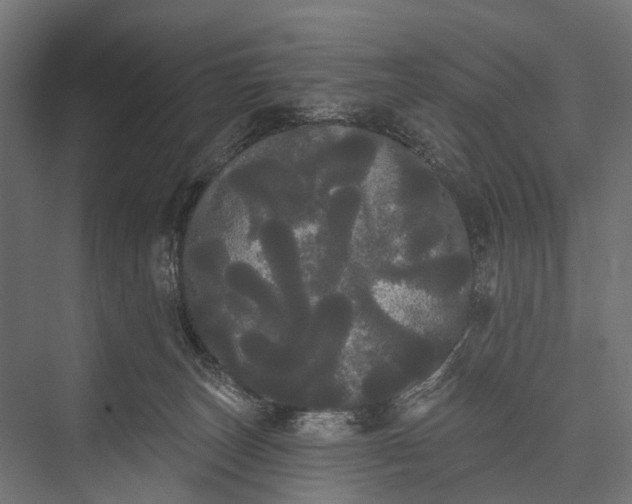 X0000076060179200610061545