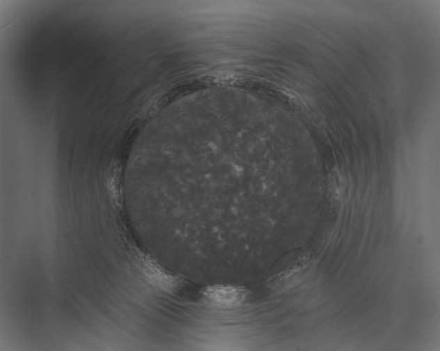 X0000076060181200610061545