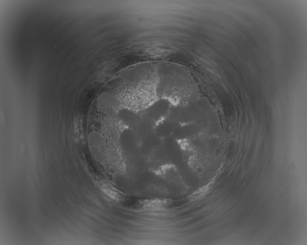 X0000076060182200610061545