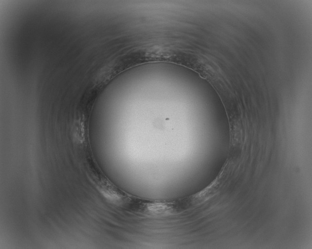 X0000076060183200610061545