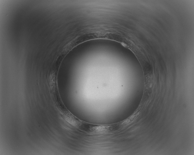 X0000076060184200610061545