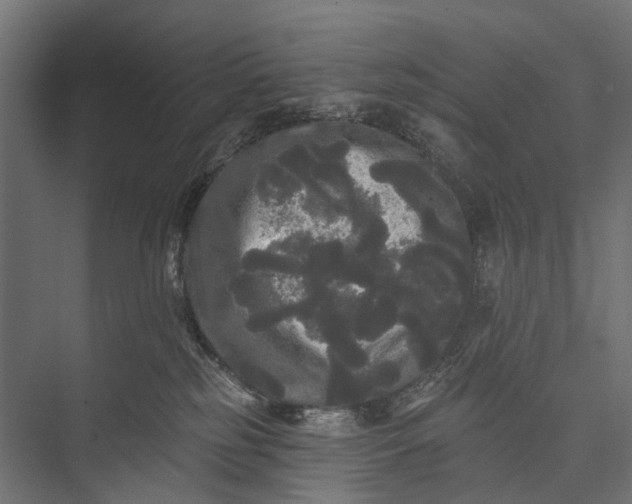 X0000076060185200610061546