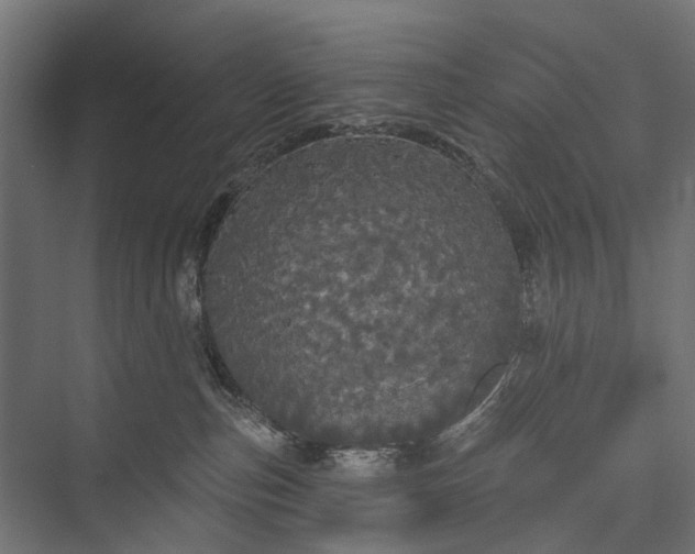 X0000076060187200610061546