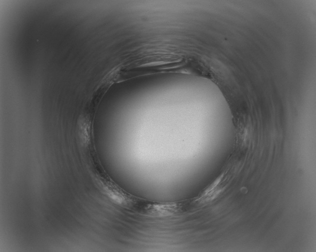 X0000076060188200610061546