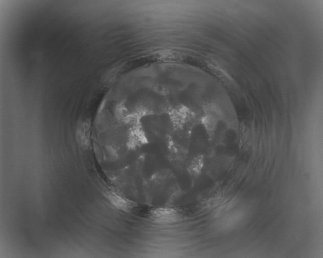 X0000076060189200610061546