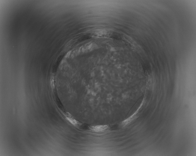 X0000076060191200610061546