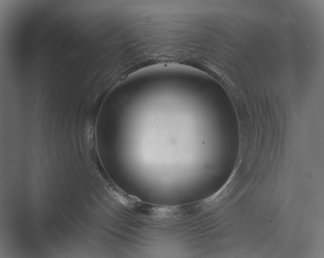 X0000076060192200610061546