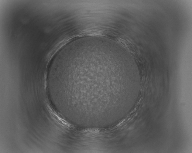 X0000076060194200610061545