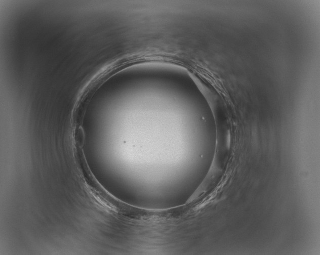 X0000076060197200610061545