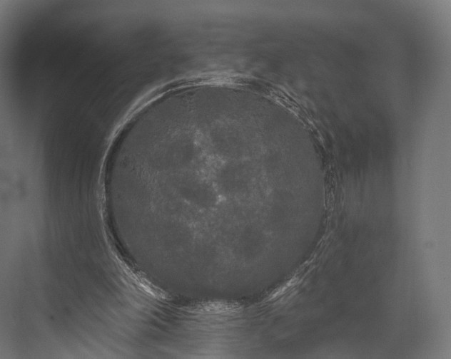 X0000076060198200610061545