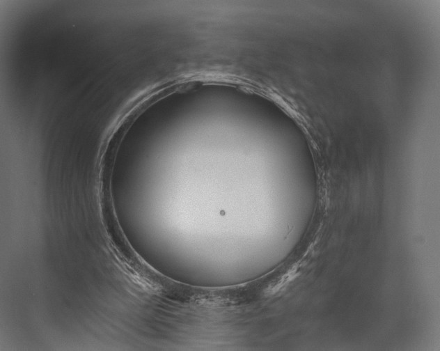 X0000076060199200610061545