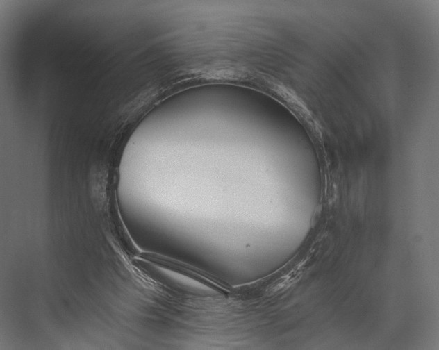 X0000076060201200610061545