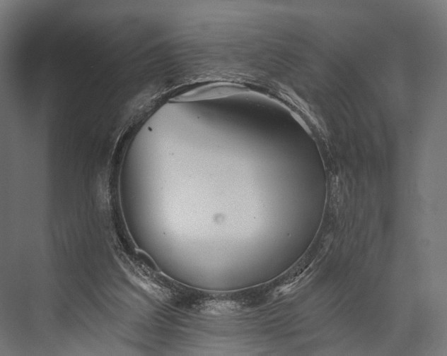 X0000076060203200610061545