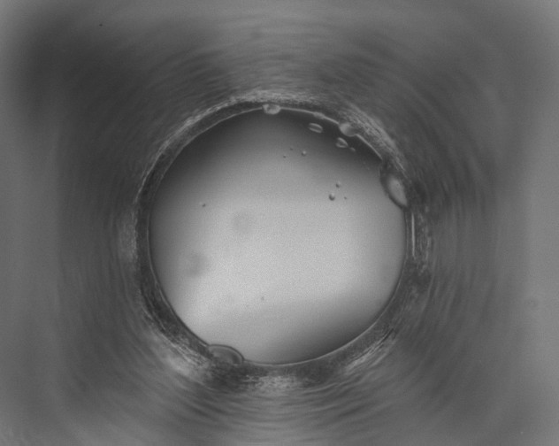 X0000076060204200610061545