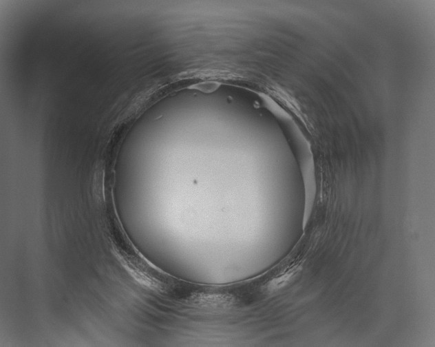 X0000076060205200610061545