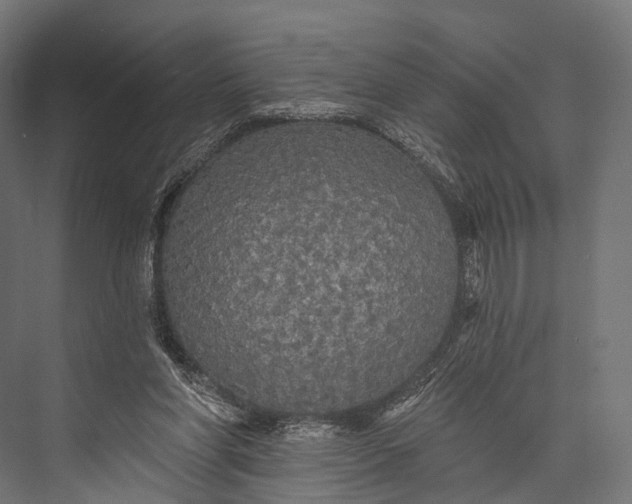 X0000076060206200610061545