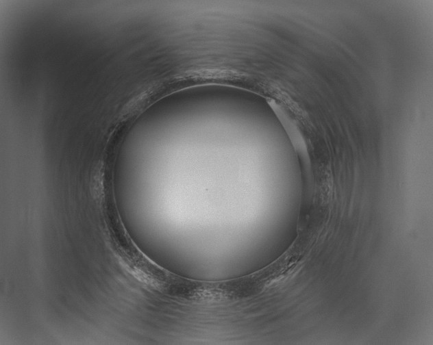 X0000076060207200610061545