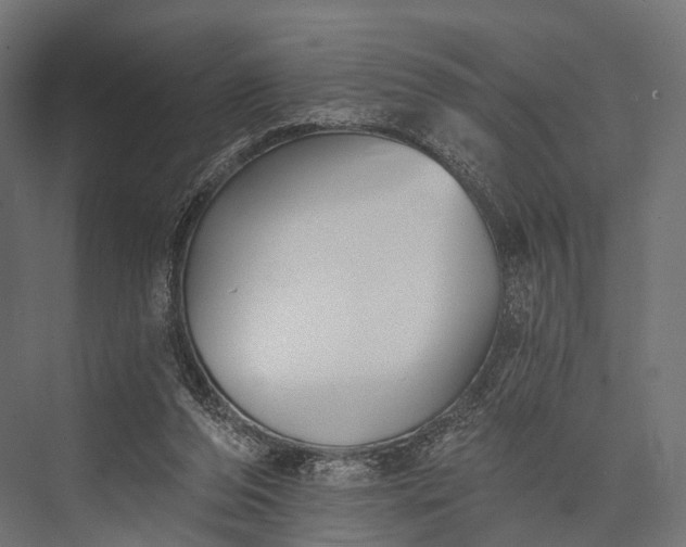 X0000076060208200610061545