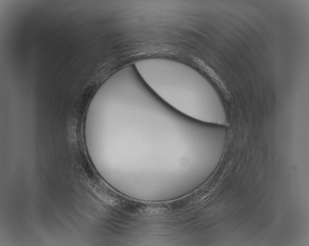 X0000076060209200610061545