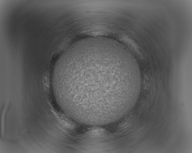 X0000076060210200610061545