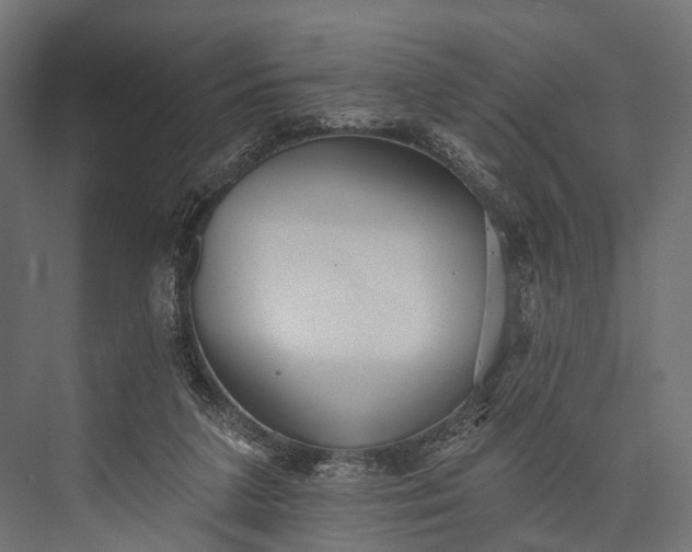 X0000076060211200610061545