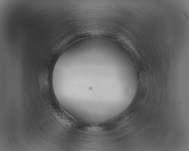 X0000076060212200610061545