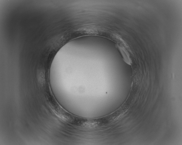 X0000076060213200610061544