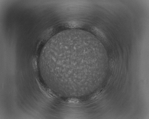 X0000076060214200610061544