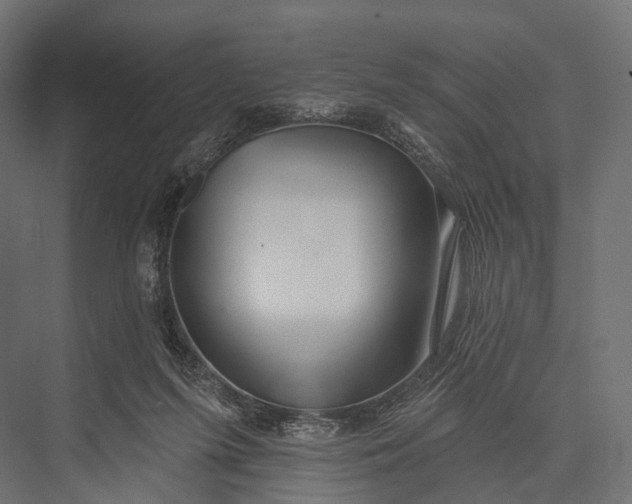 X0000076060215200610061544