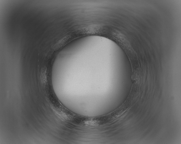 X0000076060216200610061544