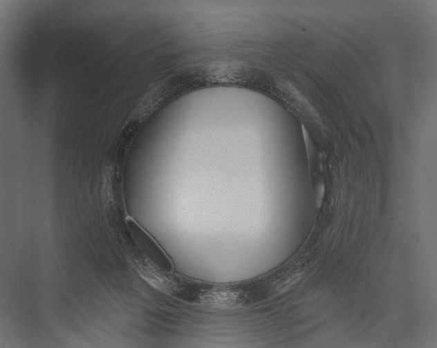 X0000076060217200610061544