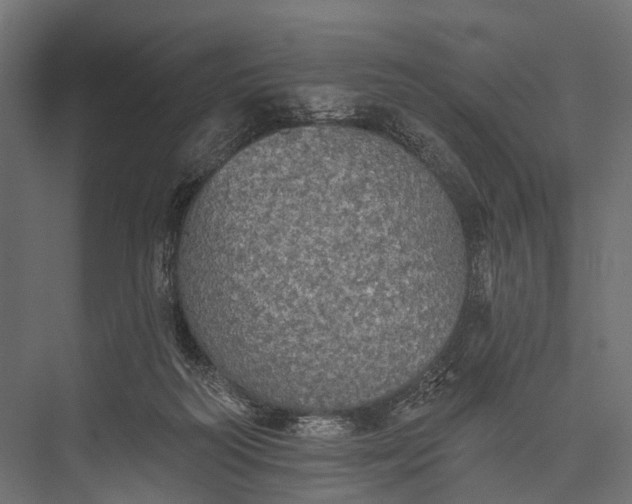 X0000076060218200610061544