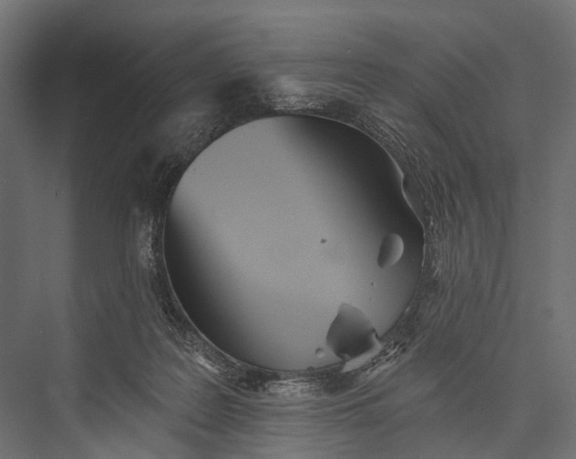 X0000076060219200610061544