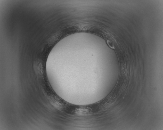 X0000076060220200610061544